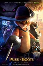 Puss in Boots The Last Wish 2022 Hindi Dubbed 480p 720p 1080p FilmyZilla